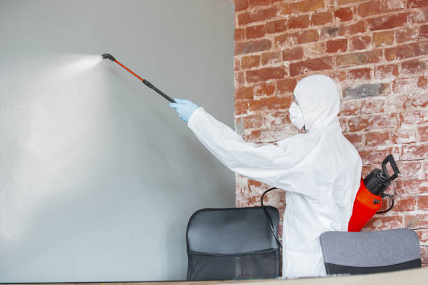 Best Real Estate Mold Inspection  in Otisville, NY
