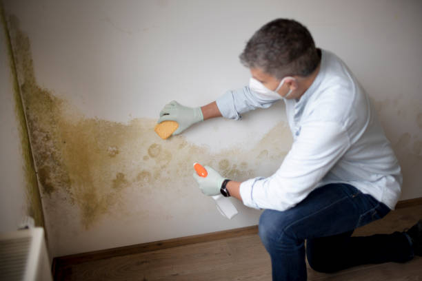 Best Biohazard Mold Removal  in Otisville, NY