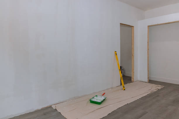 Best Mold Odor Removal Services  in Otisville, NY