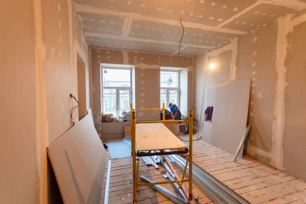 Best Basement Mold Removal  in Otisville, NY